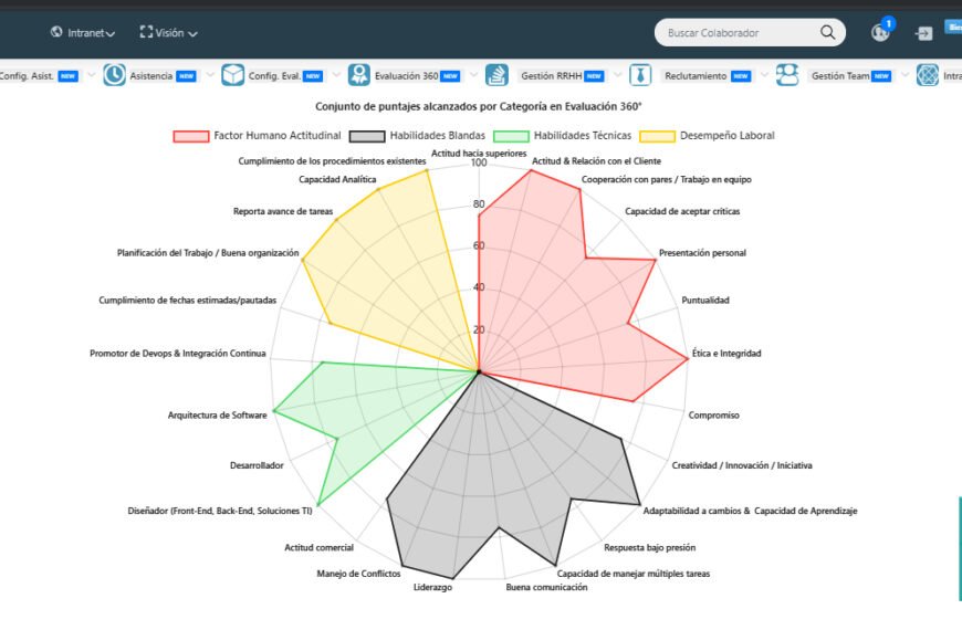 Garantiza tu éxito profesional con asistencia laboral: Criterios y requisitos imprescindibles